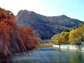 管家婆黑白马报图库，迈峰手机